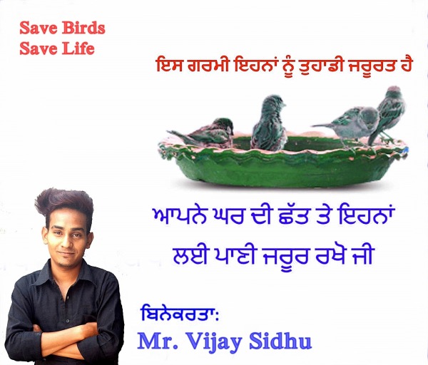 Save Birds Save Life