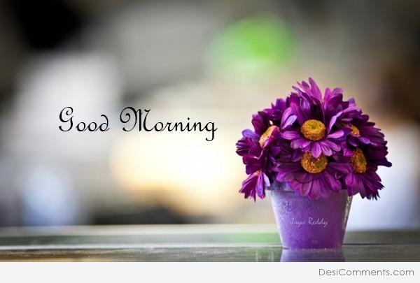 Good Morning With Flowers - DesiComments.com