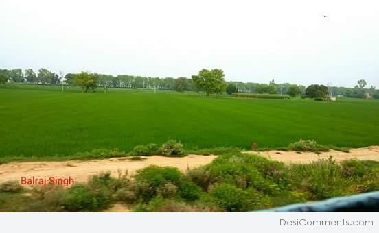 Amazing View Of Punjab