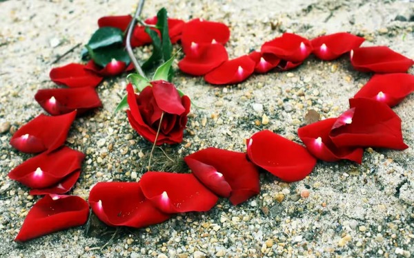 flower of heart