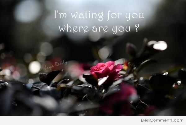 I’m Waiting For You