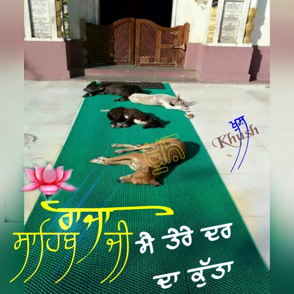 Mai Kutta Tere Dhar Da