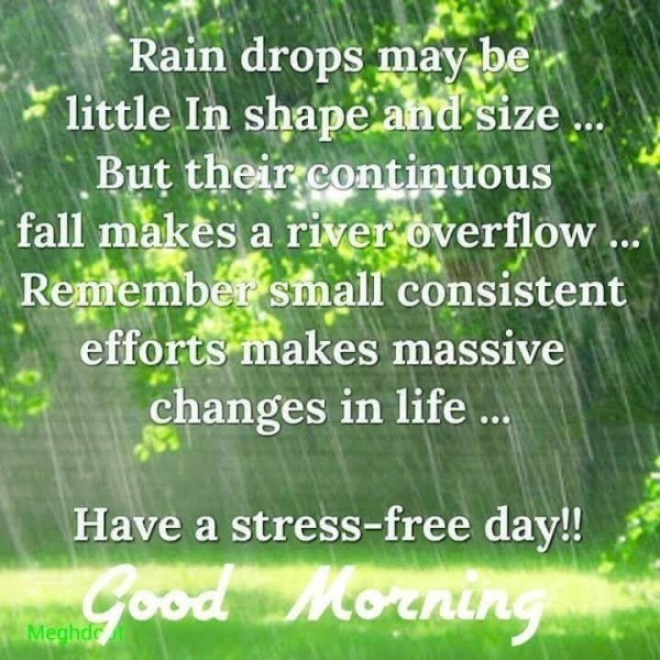 Have A Stress Free Day