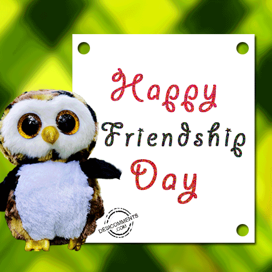 Happy friendship day with owl 