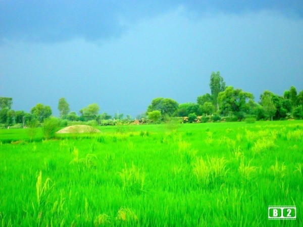 Beautiful Location Of Punjab