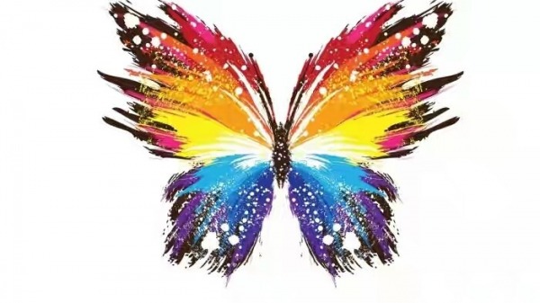 Colorful Butterfly