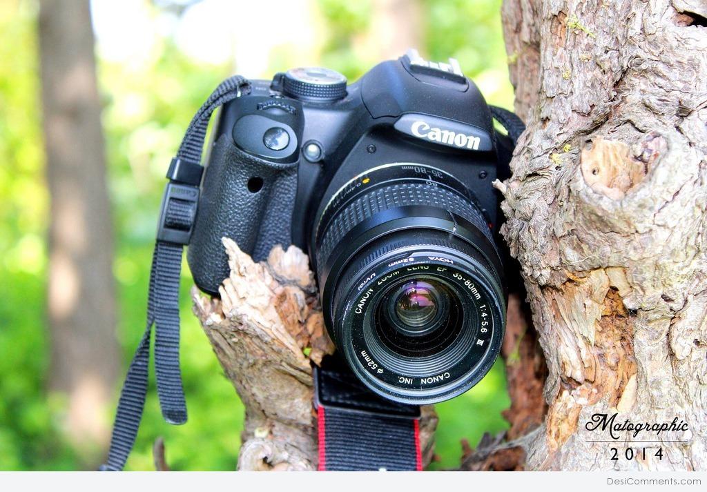 Conota camera. Canon 500d. Canon 500d снимки. Фотоаппарат Кэнон Эстетика. Canon EOS 500d.