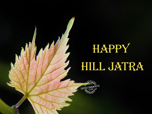 Image Of Happy Hill Jatra