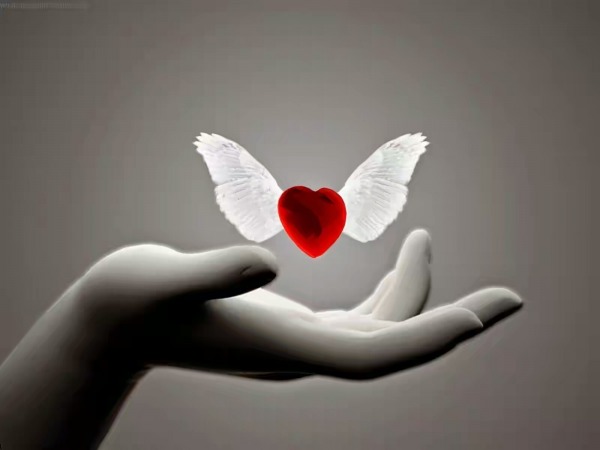 Heart With Wings