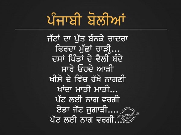 Patt lyi naag vargi – Punjabi Boliyan