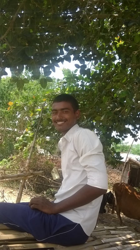 Rajesh Kumar Bijuliya