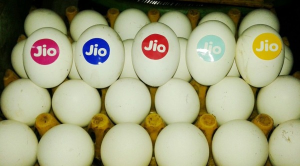 Jio Eggs