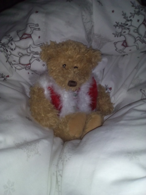 Image Of Teddy Bear