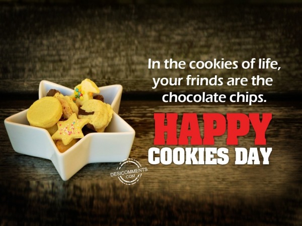 In the cookies of life your friends are the chocolate chips