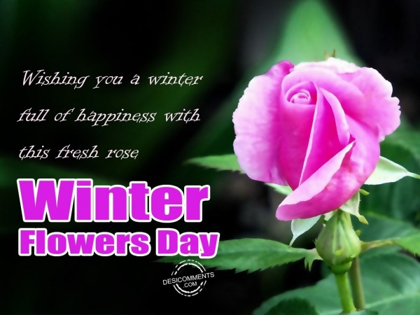 Wishing you a winter full of happiness