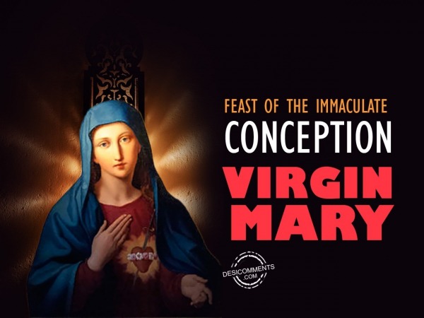 Feast of the Immaculate Conception virgin mary