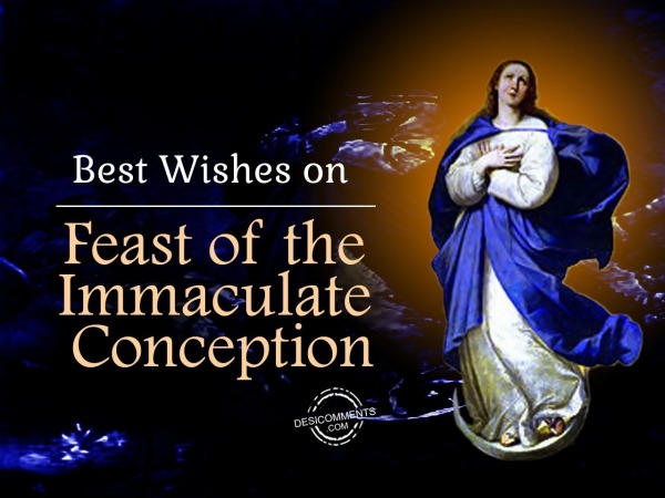 Best wishes on the Feast of the Immaculate Conception