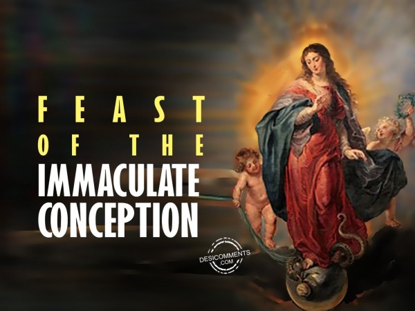 Best wishes Feast of the Immaculate Conception