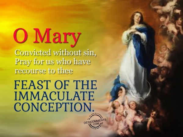 O mary convicted without sin, pray for us