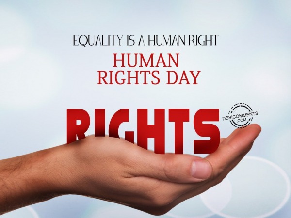 Equality is a human right