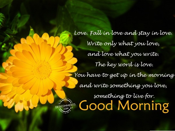 Fall In Love - Good Morning