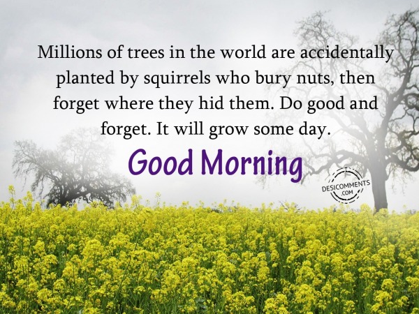 Do Good And Forget - Good Morning