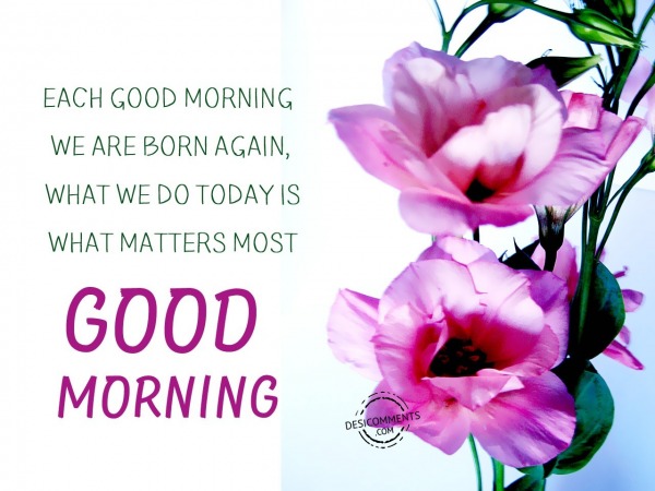 Each Good Morning - Good Morning