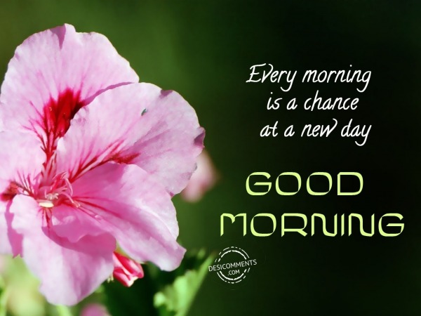 Every Morning Is A Chance At A New Day - Good Morning