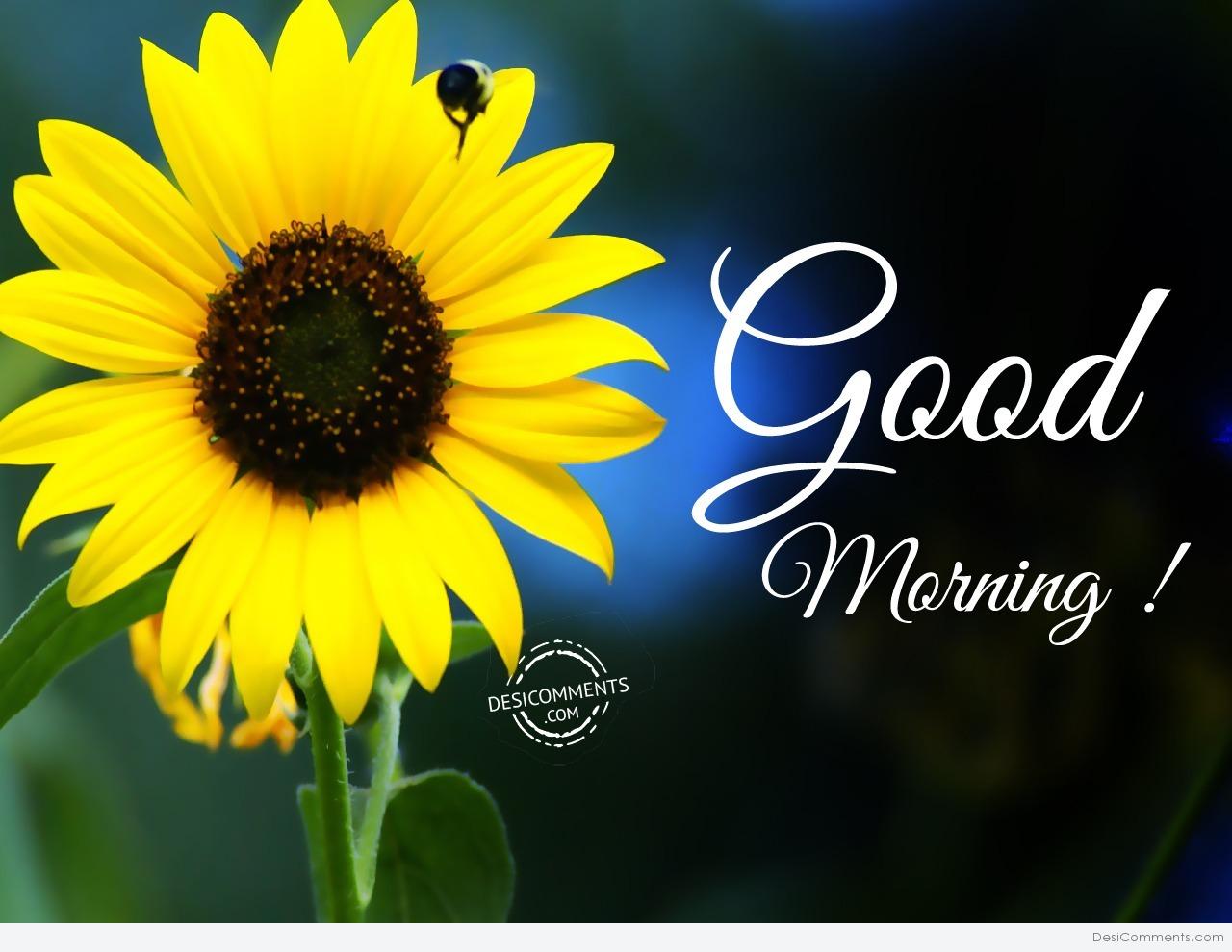 Good Morning - DesiComments.com