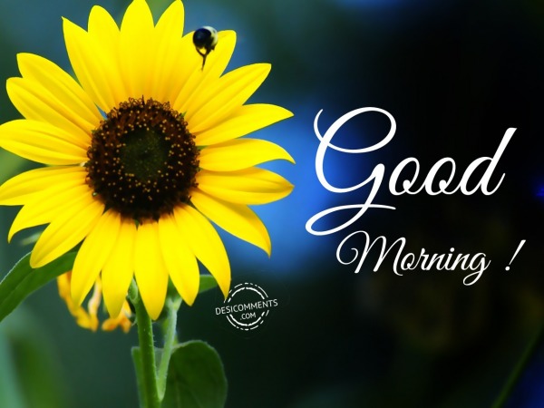 Good Morning - DesiComments.com