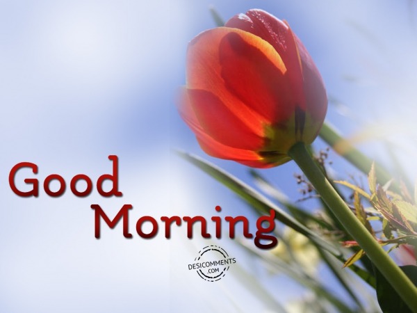 Good Morning