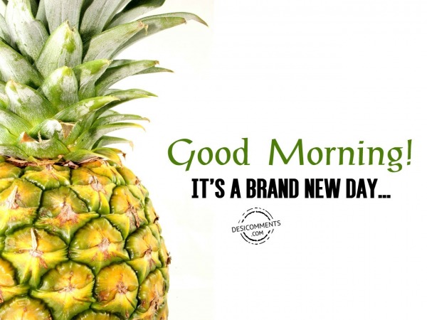 Good Morning – It’s A Brand New Day