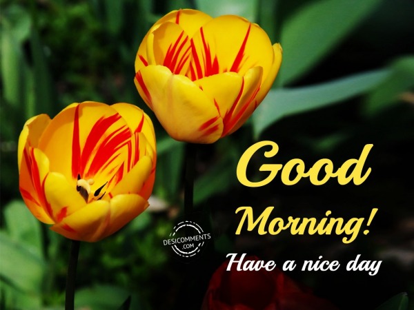 Good Morning Have A Nice Day