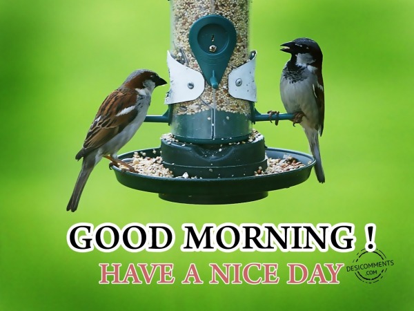 Have A Nice Day - Good Morning