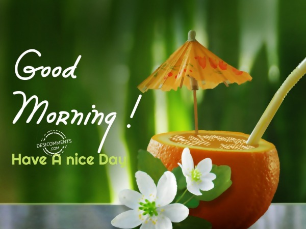 Have A Nice Day - Good Morning