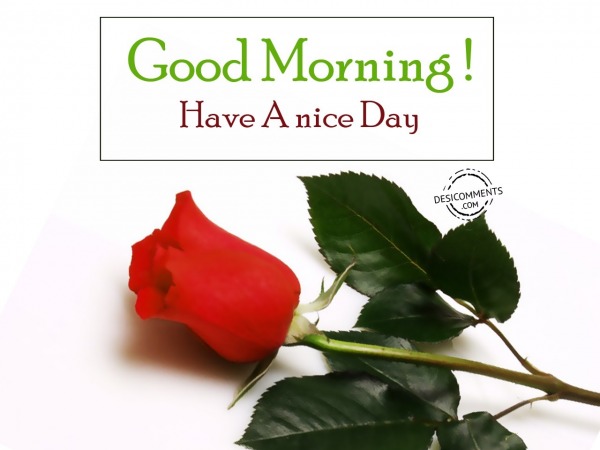 Have A Nice Day - Good Morning