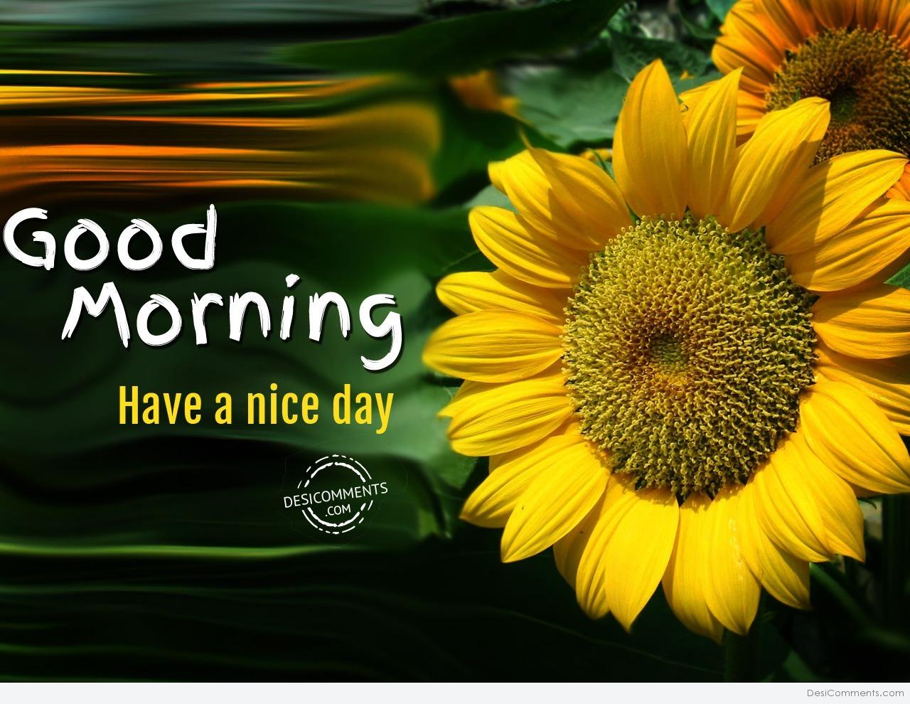 Have A Nice Day – Good Morning - DesiComments.com
