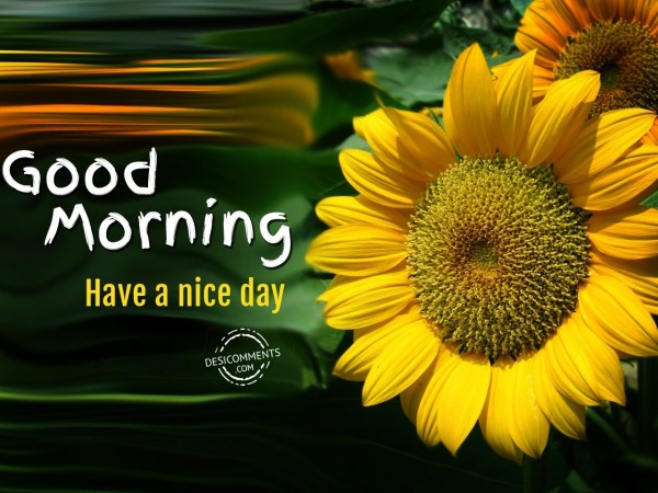 Have A Nice Day - Good Morning