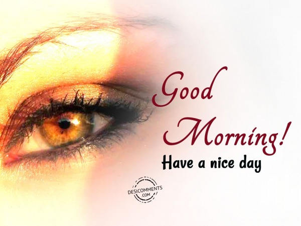 Have A Nice Day - Good Morning