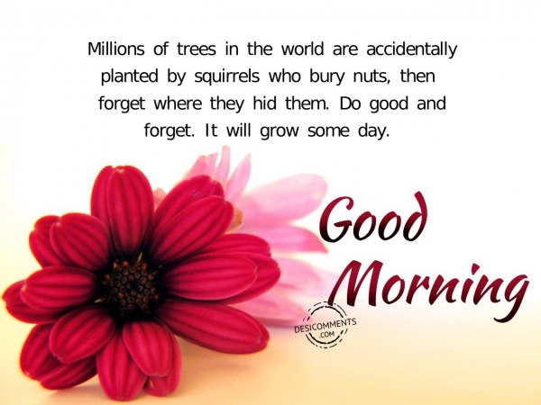It Will Grow Some Day – Good Morning