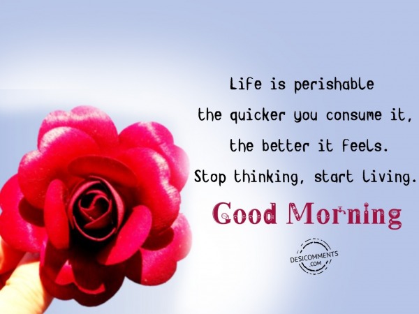 Life Is Perishable – Good Morning