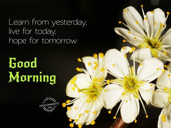 Learn From Yesterday – Good Morning