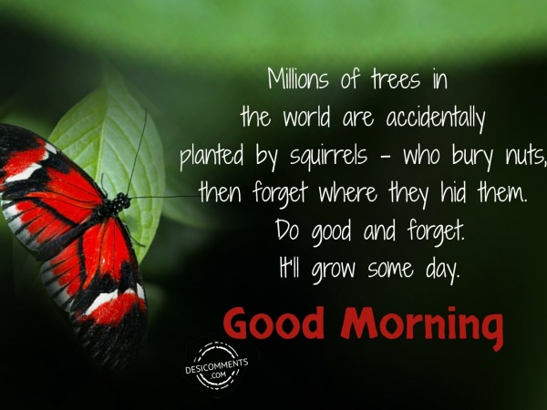 Millions Of Trees In The World – Good Morning