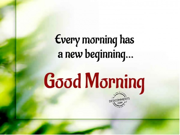 New Beginning - Good Morning