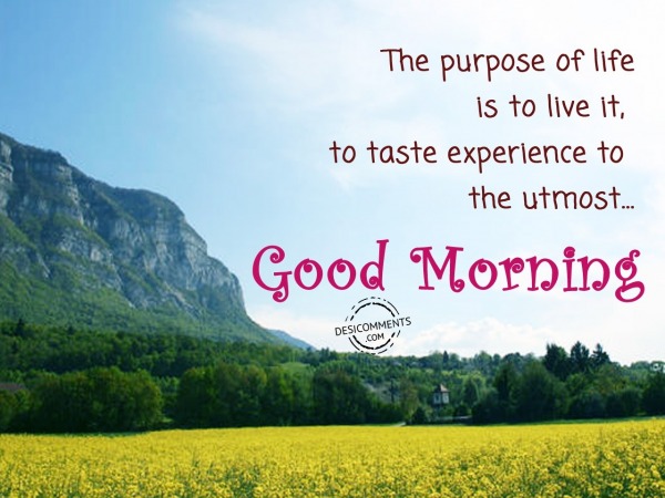 The Purpose Of Life – Good Morning