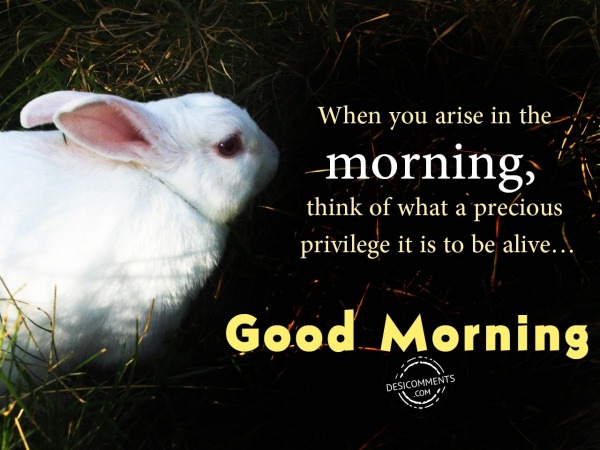 When You Arise – Good Morning