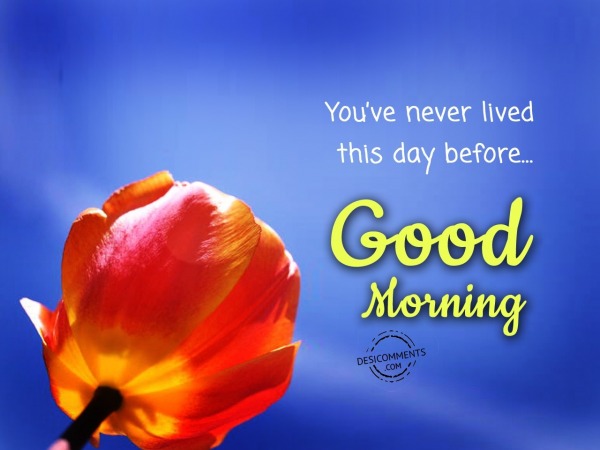 You’ve Never Lived This Day Before – Good Morning