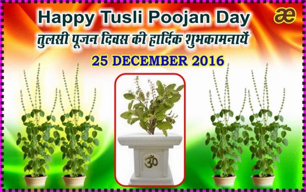 Tulsi Poojan Day