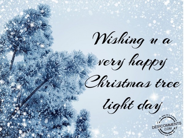 Christmas Tree Light Day (Dec 22)