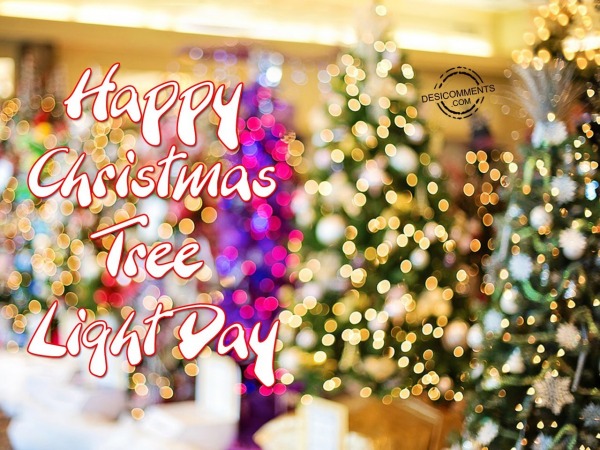 Happy Christmas Tree Light Day